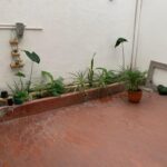 CASA ESQUINERA LA PRADERA (SANDRA) (10)