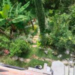 CASA MARAYA (15)